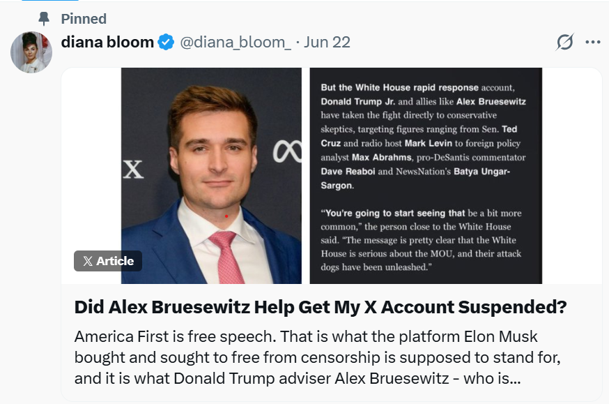 Screenshot of an X post by @diana_bloom_ detailing Bruesewitz's attacks on pro-Israel critics of the US–Iran MOU and his management of politician accounts